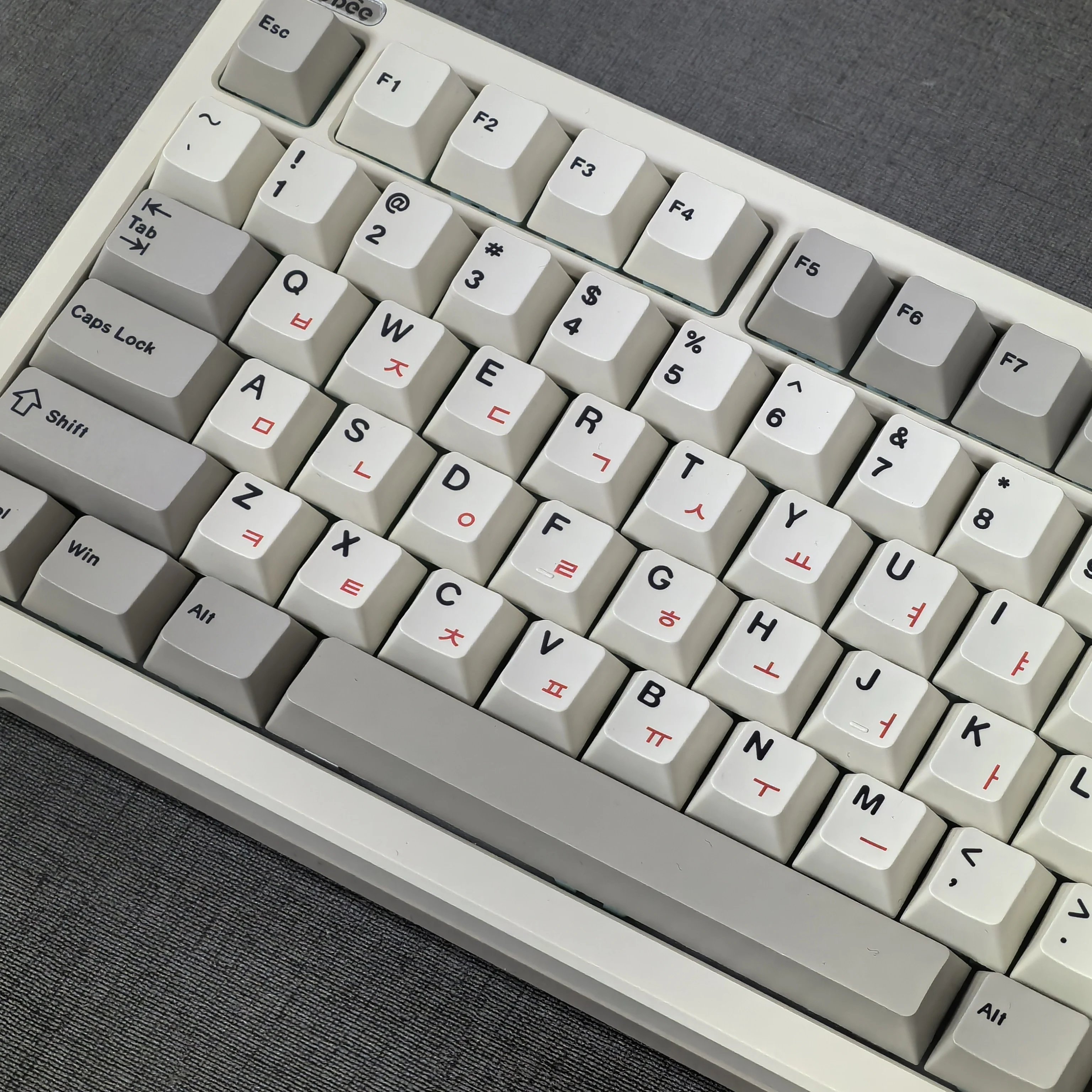 dsc-products