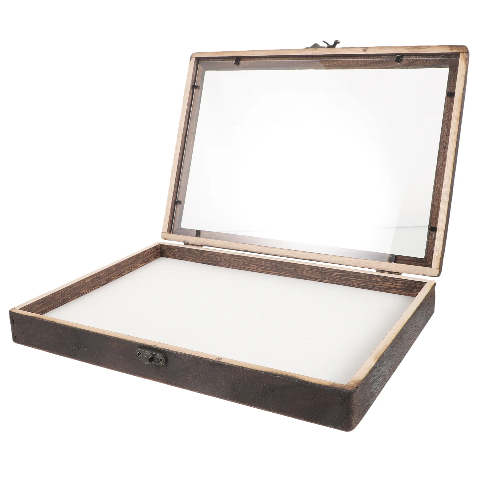 

of Insect Display Case Wooden Bug Collection Box Insect Display Box Wall Clear Window Insect Box Specimen Box Cushion