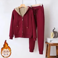 Autumn Winter Sweatshirt Sweatpants Two-piece Suit Women Fleece Thicken Sports Casual Sets Hoodies Coat Trousers 2-piece Sets 1