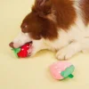 1pc-Cute Strawberry Design Pet Grinding Teeth Squeaky Plush Toy, Chewing Toy For Dog Interactive Supply 2