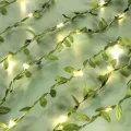 Green leaf