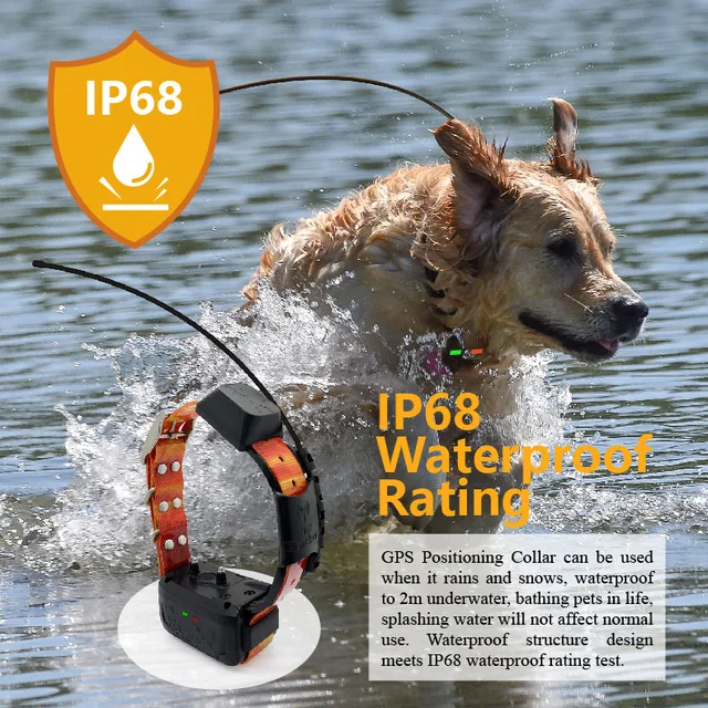 Eseek GPS Hunter Dog Tracker for Hunting Dogs Pet Training Supplies with Handheld and 2 Training Collars Long Range Multiple Dog 6