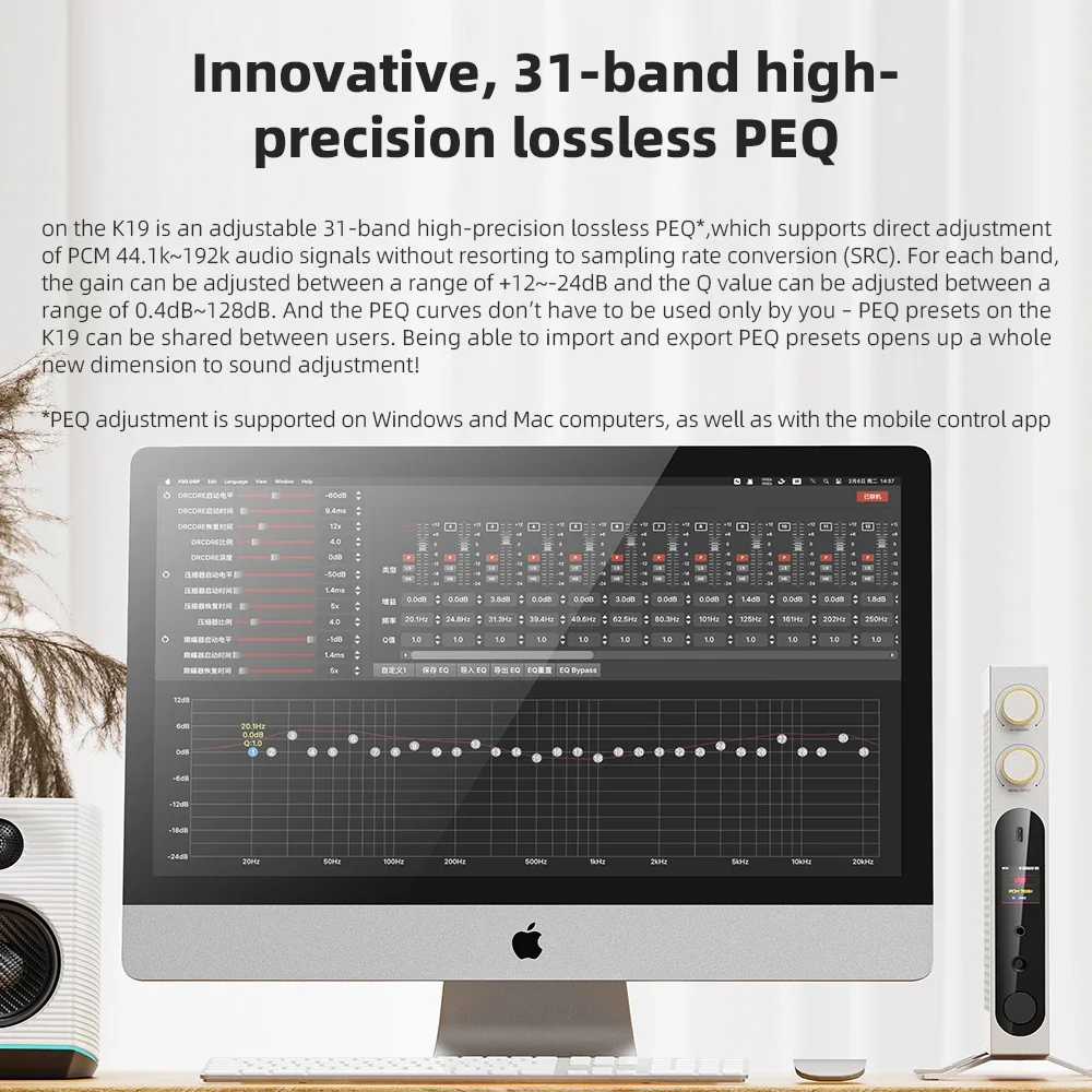 FiiO K19 フラッグシップデスクトップ DAC ヘッドフォンアンプ高解像度