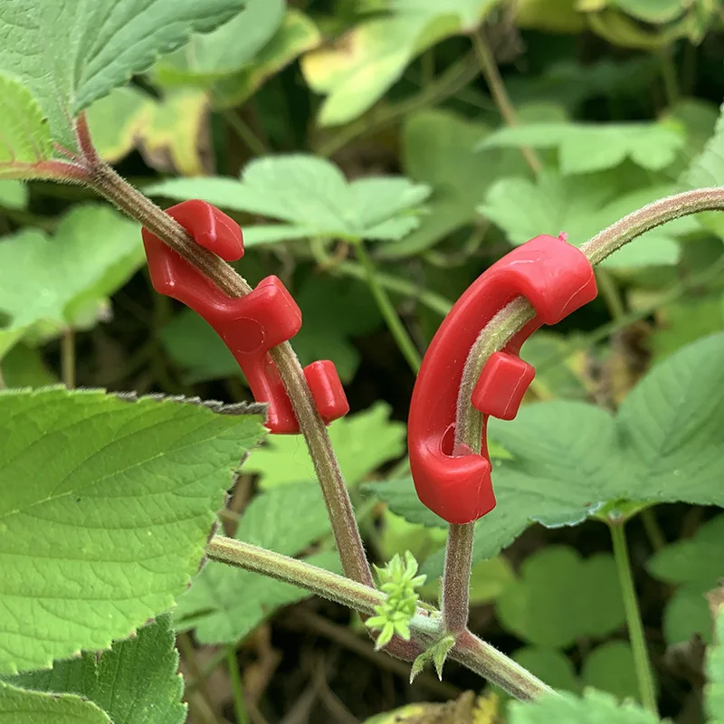 10/20/50pcs 90 Degree Plant Benders Trainer Growth Manipulation Tutors For Plants Clips Bending Twig Clamps Branche Accessories 4