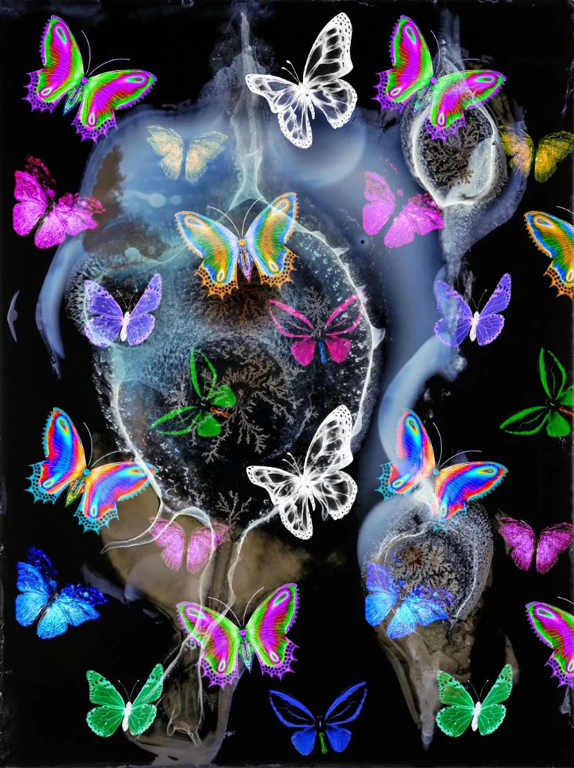 Poinsettia high-end custom digital printing fabric Store