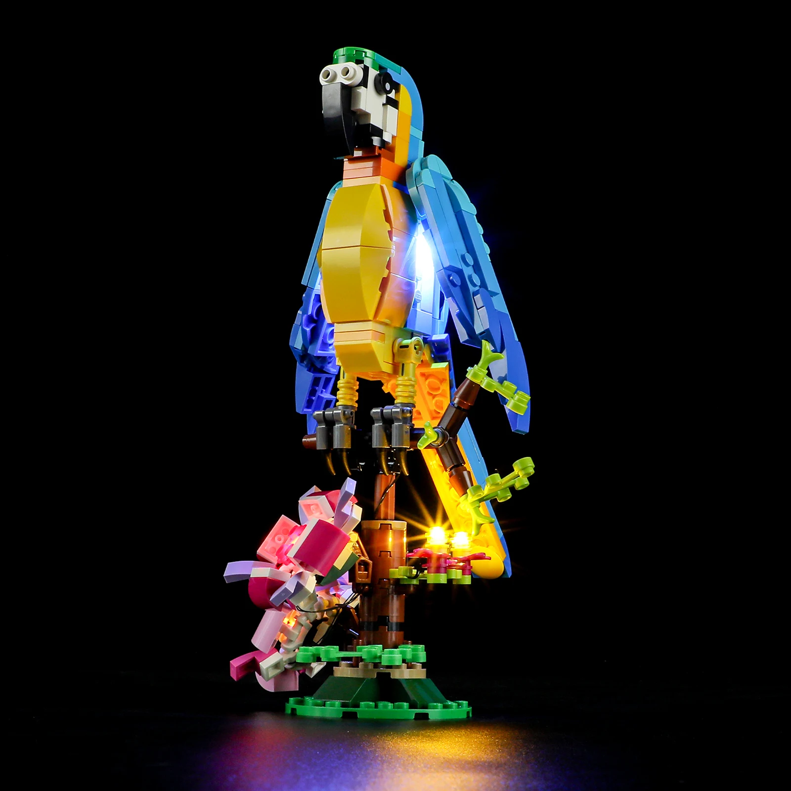 Hprosper 31136 크리에이터용 LED 조명, 배터리 박스 포함, 이국적인 앵무새 장식 램프, 레고 빌딩 블록 미포함, 3 in 1, 5V