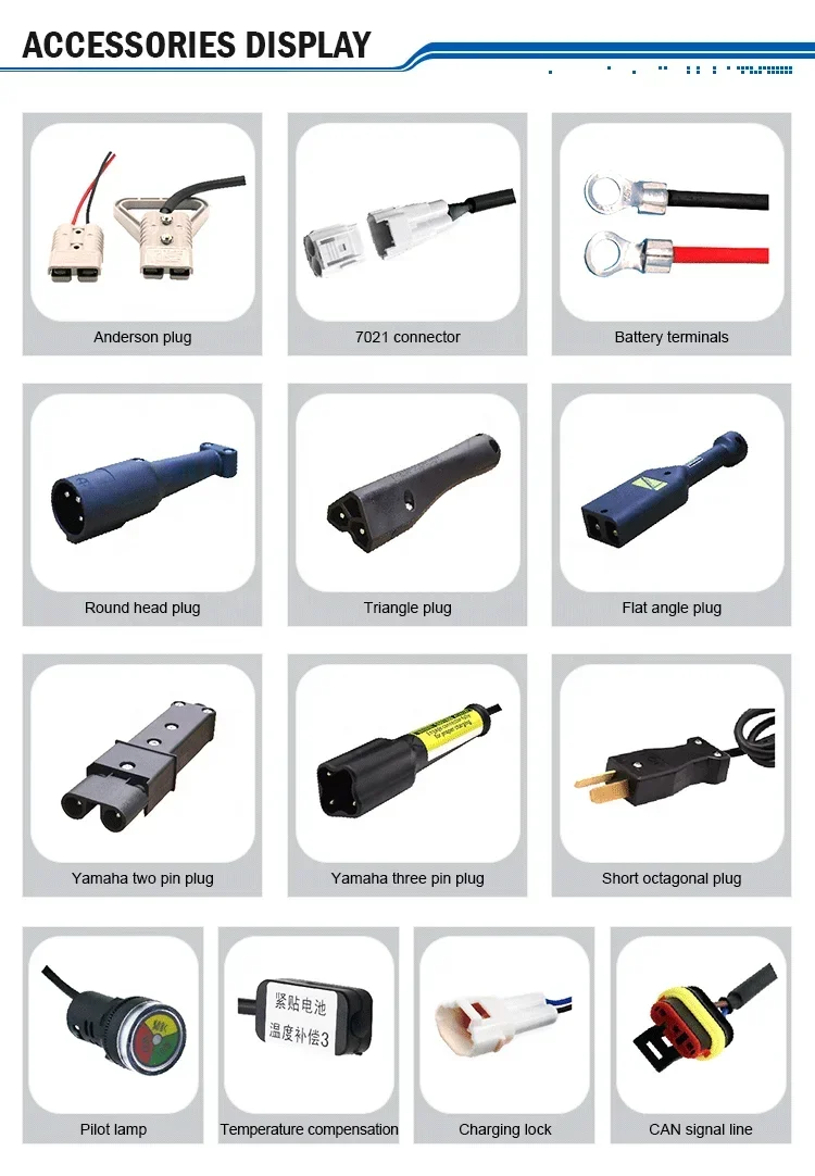 Outdoor Waterproof Charger With Temperature Compensation Lithium Lead Acid Lifepo4 Battery Charger