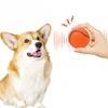 Pet Dog Tennis Ball Thrower Chucker Launcher Play Toy for Outdoor Indoor Sports Mega Pet Toy 6.5cm Unbreakable Vocal Dog Ball 2