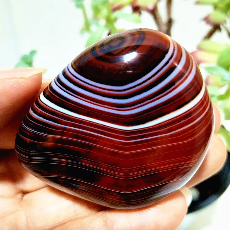 Pedra natural renda sardonyx ágata crsytal palmeira pedras meditação cura espiritual feng shui gem decoração do quarto