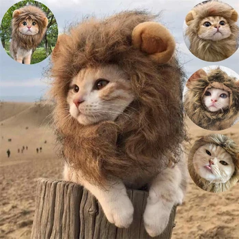 귀여운 사자 갈기 고양이 가발 모자, 개와 고양이 작은 개 애완 동물 고양이 장식 액세서리, 멋진 헤어 캡, 애완 동물 용품