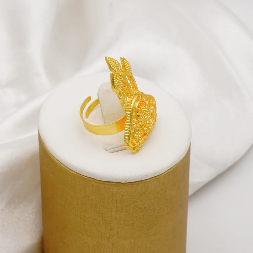 Dubai Goldfarbene Schmucksets, Halskette, Armband, Ohrringe, Ring, afrikanische, nigerianische Hochzeitsfeier für Frauen, modisches Schmuckset – Detail 6