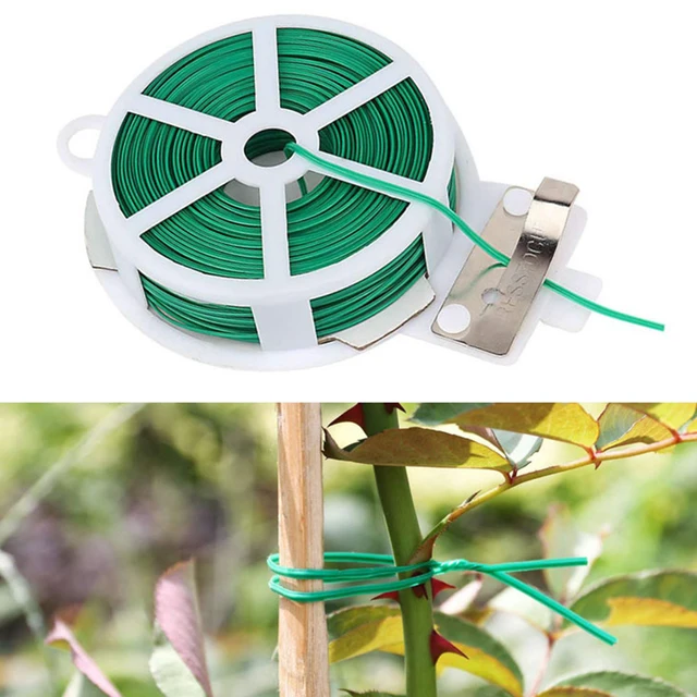 Paradicsomok Növényi Rácsos Háló Kötőmászó Növényekkel Az Uborkához Nagy Gyümölcsök Zöldség Hegymászás Szőlő Nettó Kertészet - Image 3