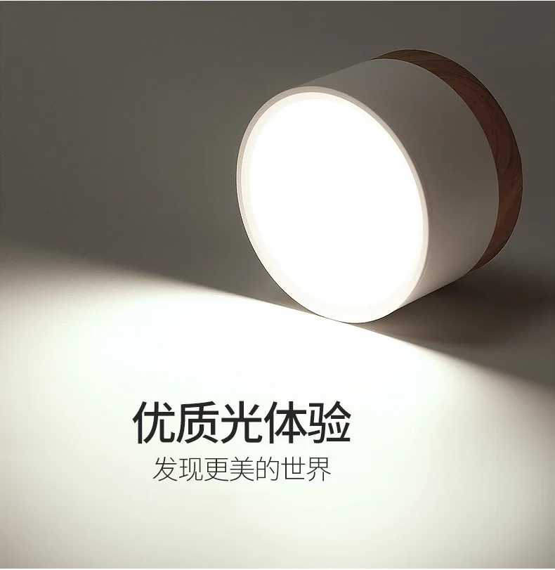 Description Picture 4 of itemLED Downlight Ceiling Light 5/9/12W Nordic Wood Modern Led Surface Mounted Ceiling Light Spotlight Interior Decoration Light