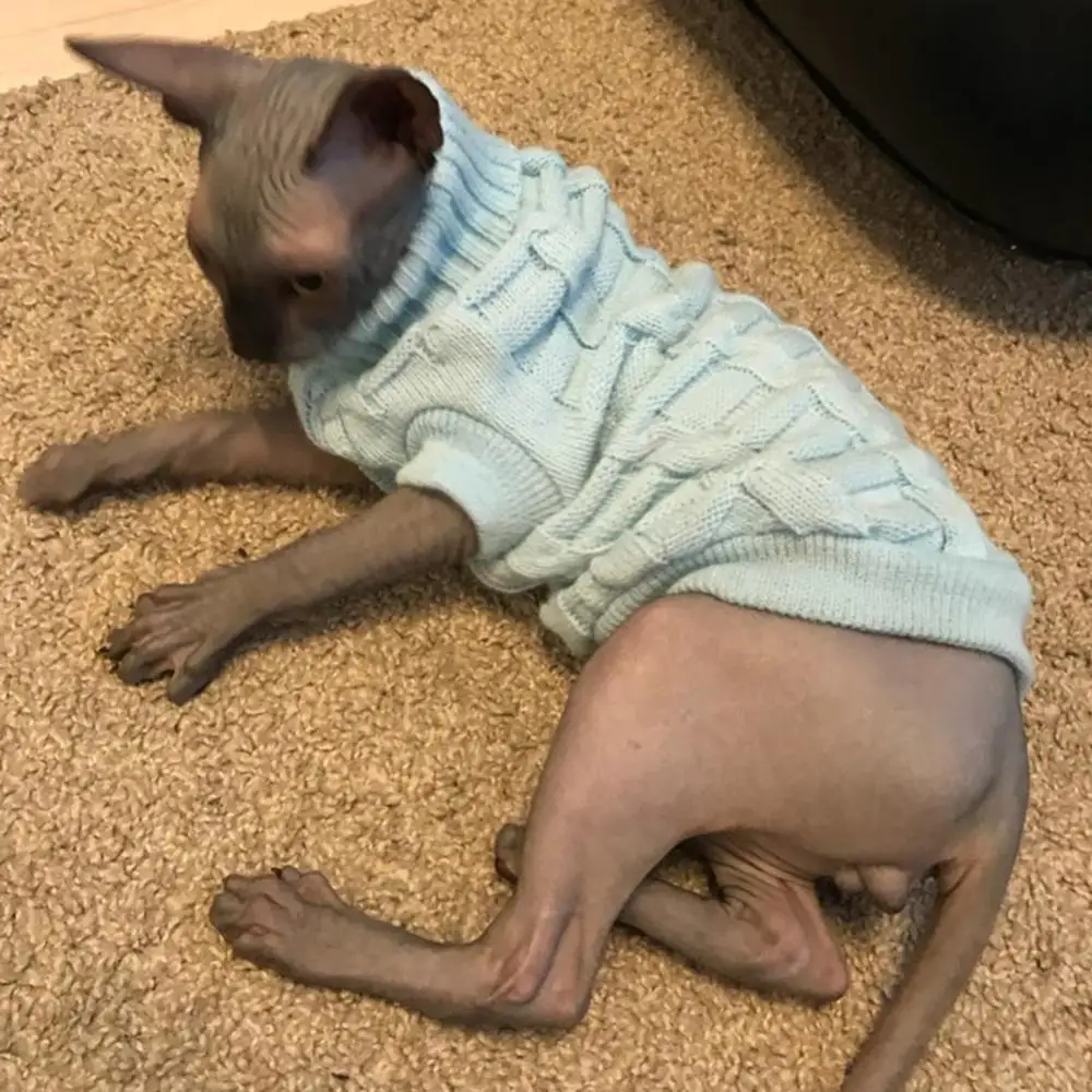 레저 애완 동물 고양이 스웨터 겨울 따뜻한 면화 고양이 옷 작은 고양이 새끼 고양이 코트 재킷 키티 니트 스웨터, 애완견 의류