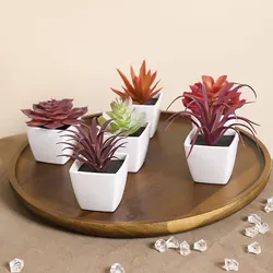 Set of 6 Mini Artificial Green Succulent Plants in White Pots for Home and Office Decor (Red)