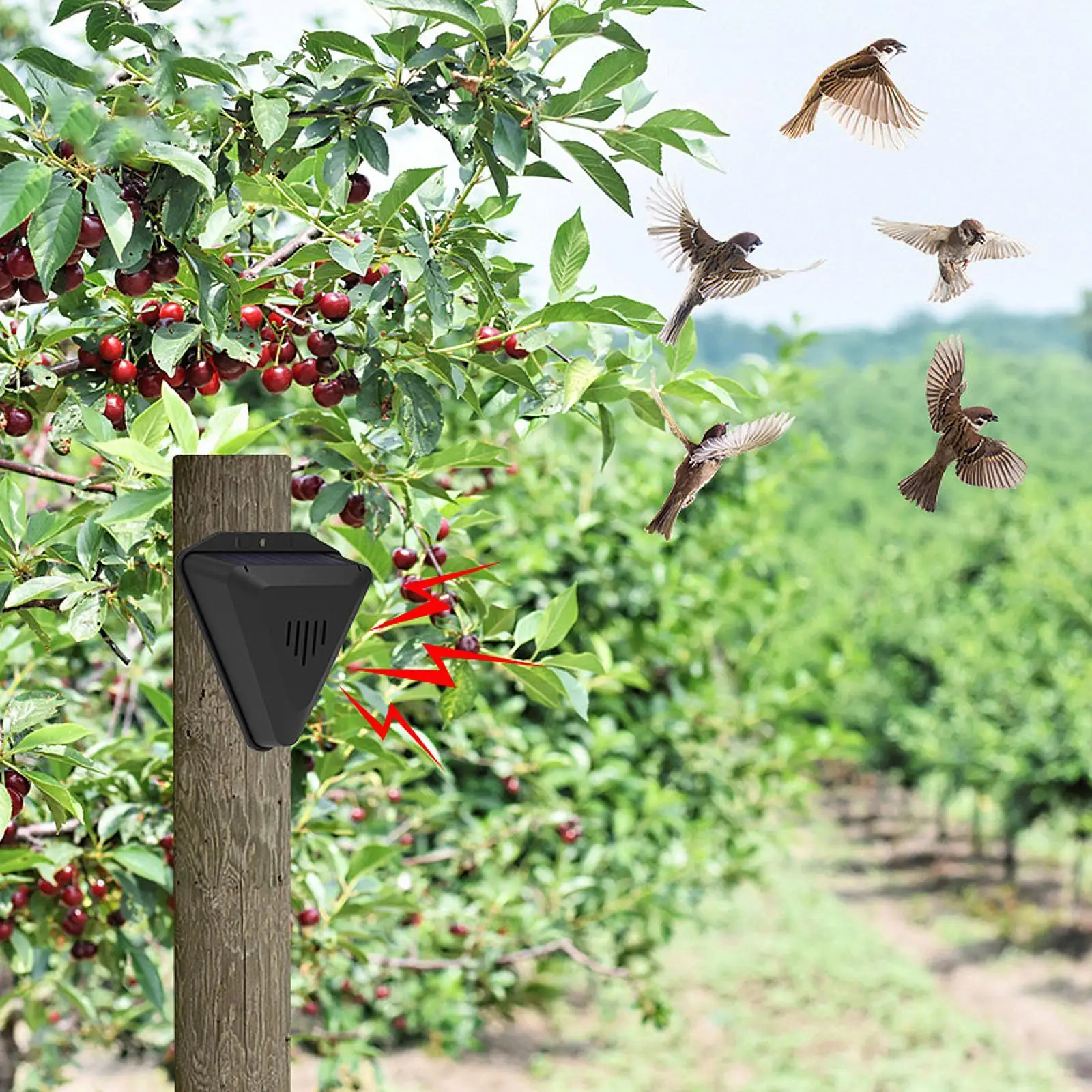 Bird Repeller Device Solar Powered Birds Scarer Bird Preventer Animal Deterrent Device for Deer Raccoon Squirrel Farm Yard