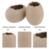 2 Pcs Small Egg Shell Vase Creative Flower Hydroponics Planting Home Pot Vases Decorative Miniature Chic Plants Container 3