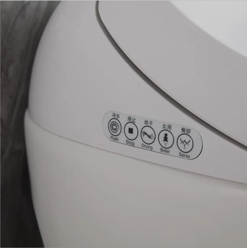 Intelligent Bidet Toilet Seat
