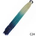 C24