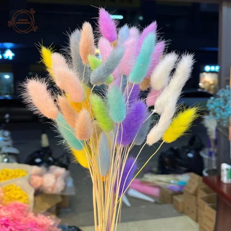 

60pcs Mix Dried Bunny Tail Grass Natural Preserved Dry Flowers Wedding Table Decor Bouquet Home Decoration Flower Arrangement