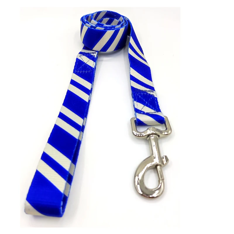 Blue Leash