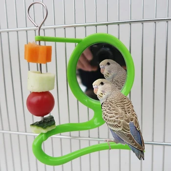 Bird Mirror Toy With Plastic Perch Stand Parrot Metal Fruit Vegetable Holder Feeder Lovebirds Finches Canaries.jpg