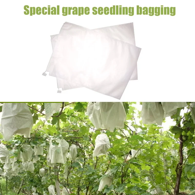 100Pcs Drawstring Style Grape Protect Bag Fruit Protection Bags Mesh Bag Against Insect Pouch Waterp Mini Greenhouse