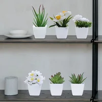 6PCS, artificial plants small bonsai, DIY crafts desktop windowsill display rack display decoration 5
