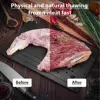Meat Defrosting Tray Rapid Defrost Plate for Food Natural Miracle Thawing Mat Fast Thaw Board Master Meat Defroster Tray 2