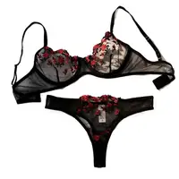 Ensemble de sous-vêtements Sexy pour femmes, soutien-gorge émotionnel exotique, imprimé brodé, brassière, ensemble de Lingerie, Push Up, Bralette fine 1