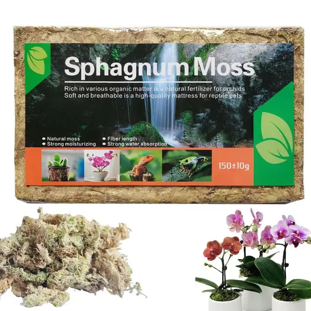 Természetes Sphagnum Moha Táplálkozás Organic Merticer Orchid Szárított Kertészeti Növények Páratartalma