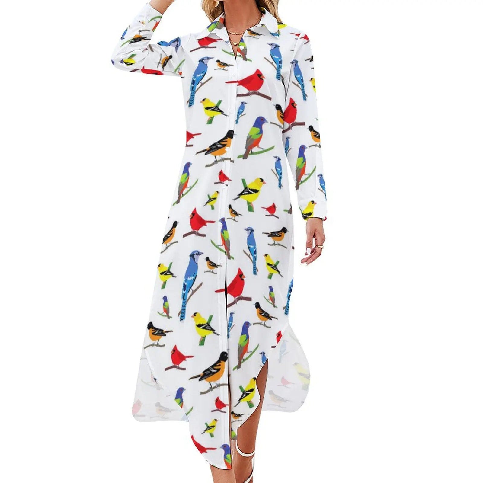 

Colorful Bird Casual Dress North American Birds Streetwear Dresses Long Sleeve Women V Neck Graphic Oversized Chiffon Dress