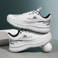 Men's Fashionable Low-Top Sports Casual Shoes - Stylish and Versatile, Suitable for Running and Casual Wear, Comfortable and Stylish Sole, Breathable Fabric Lining, Stylish Color-Blocking Design, Suitable for All Seasons, Outdoor Activities, Daily Wear, Sporty Style, Modern Footwear, Comfortable Fit, Urban Fashion, Daily Commuters, Unisex