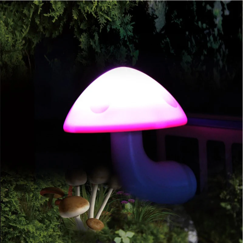 LED �߰� ���� ���� �� ���� ������ ����, ccontrol ����, 110-220V �÷��� ħ�� ����, Ȩ ����