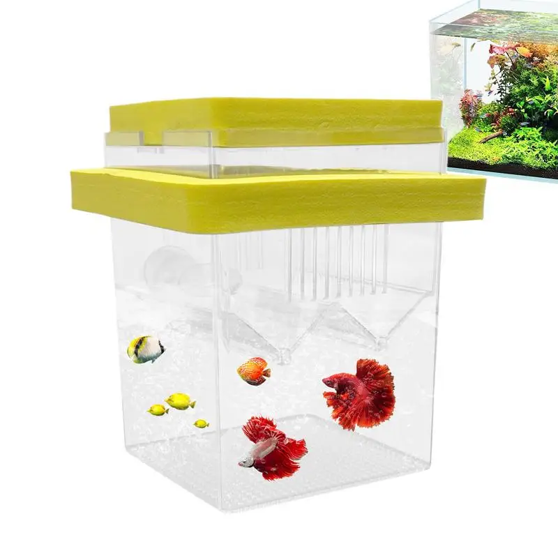 Fish Breeding Box Fish Breeding Box Floating Fish Hatchery Incubator Tank With Suction Cups Guppy Betta Isolation Box For Aquarium