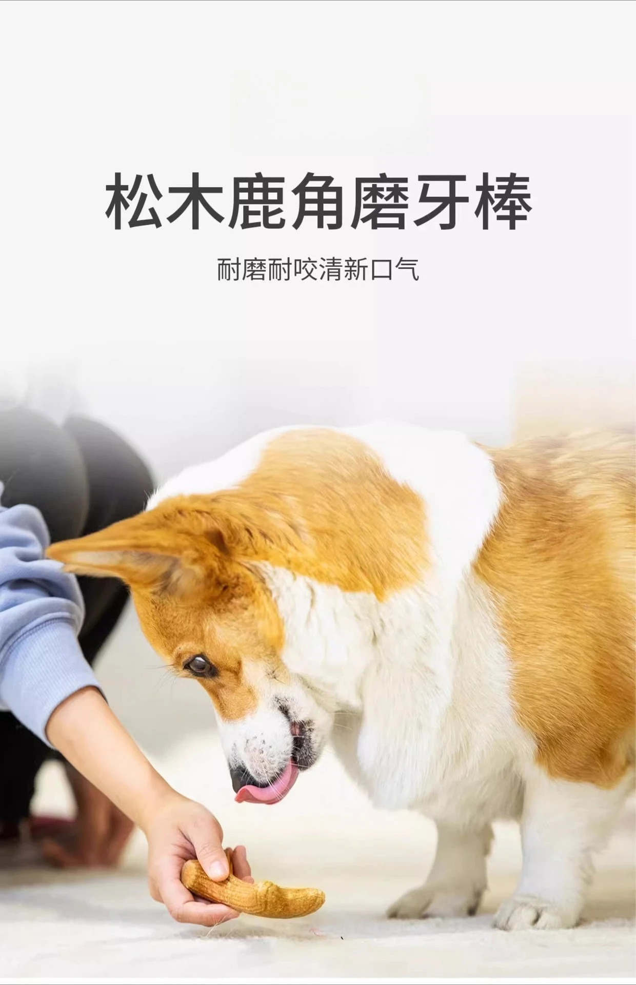 eal Wooden Deer Antlers Dog Chew Toys for Aggressive Chewers Large Dog Chewing Stick Indestructible Tough Durable Pet Toys Gift