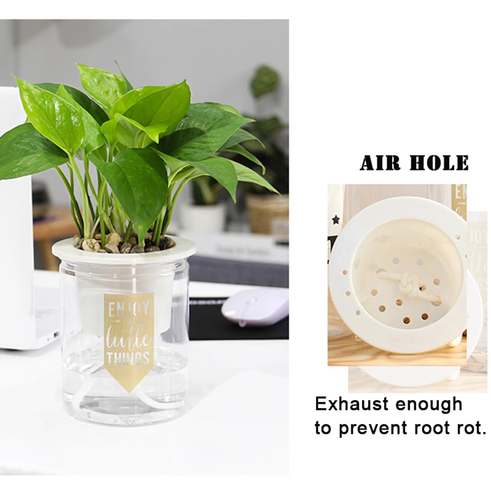 Self-Watering Indoor Planter with Absorbent Cotton Rope
