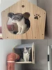 Cat Wall Climbing House Shelf Bed Wall Mounted Tree Tower Hiding House Villa Castle for Indoor Cats Accessories Sleeping 4