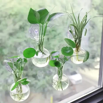 Creative Semi Circular Class Wall Mounted Vase Flower Plate Plant Hydroponic Aquarium Wall Fish Tank Aquarium Home Decoration 1