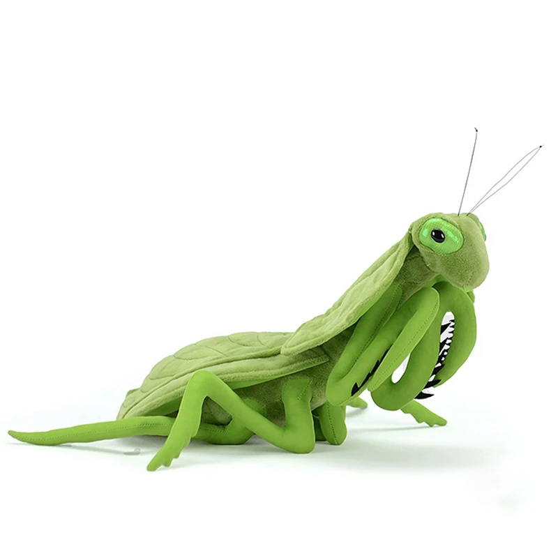 

Cute Leaf Mantis Deroplatys Plush Toy Real Simulation Brancsikia Parablepharis Soft Doll Lifelike Stuffed Animal Model Kids Gift