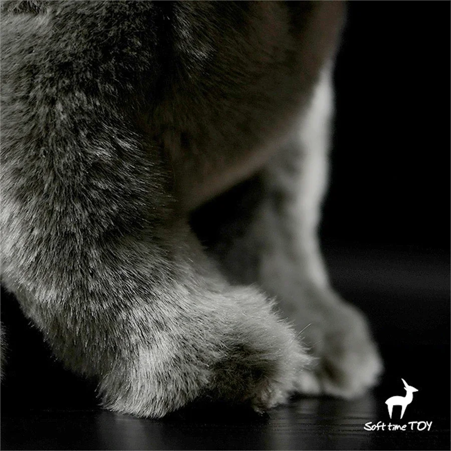 British Shorthair Blue Cat Plush Toy High Fidelity Cats Plushie Felinae Peluche Lifelike Simulation Stuffed Animals Doll Kids 6