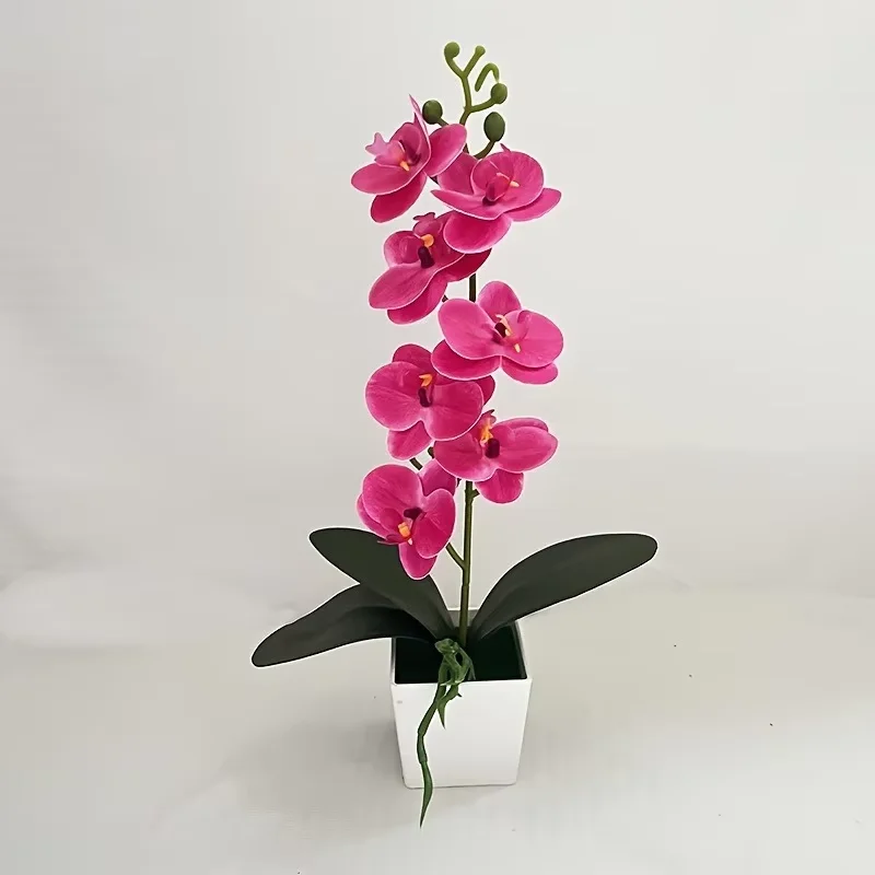 Mini Artificial Eucalyptus Plant in Black Pot