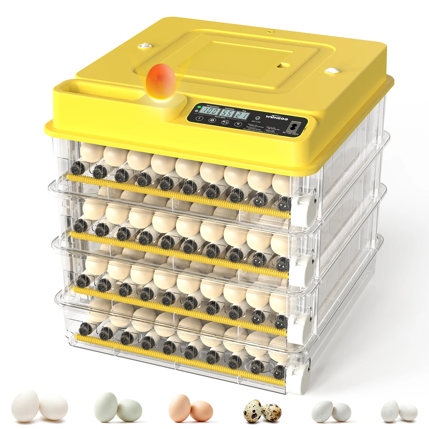 288 Eggs