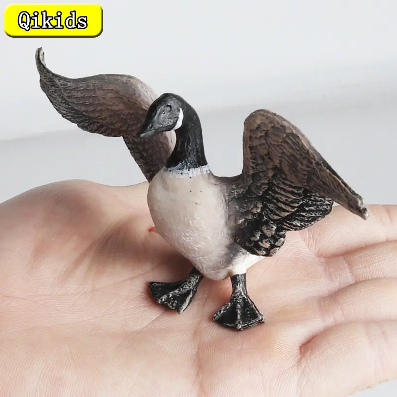 Simulazione Fattoria Pollame Modello Animale Pollo Pollo Canada Goose Rooster Action Figurine Di Plastica Serie Agricola Giocattoli Per Bambini