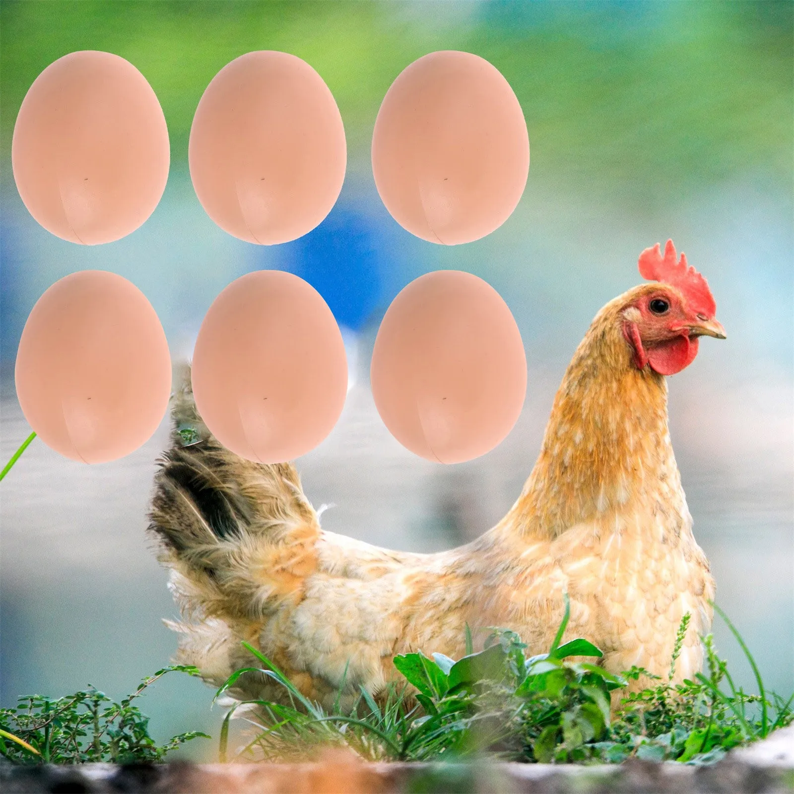 24-6PCS Gefälschte Hühnerier Geflügel Schicht Coop Schlüpfen Simulation Graffiti Eier Dummy Ei Huhn Geflügel Huhn Streich Kunststoff Eier – Detail 7