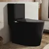 Modern Black Dual Flush Elongated Ceramic Toilet with Comfortable Seat Height 12'' Powerful & Quiet Self-Cleaning Design 1