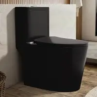 Modern Black Dual Flush Elongated Ceramic Toilet with Comfortable Seat Height 12'' Powerful & Quiet Self-Cleaning Design 1