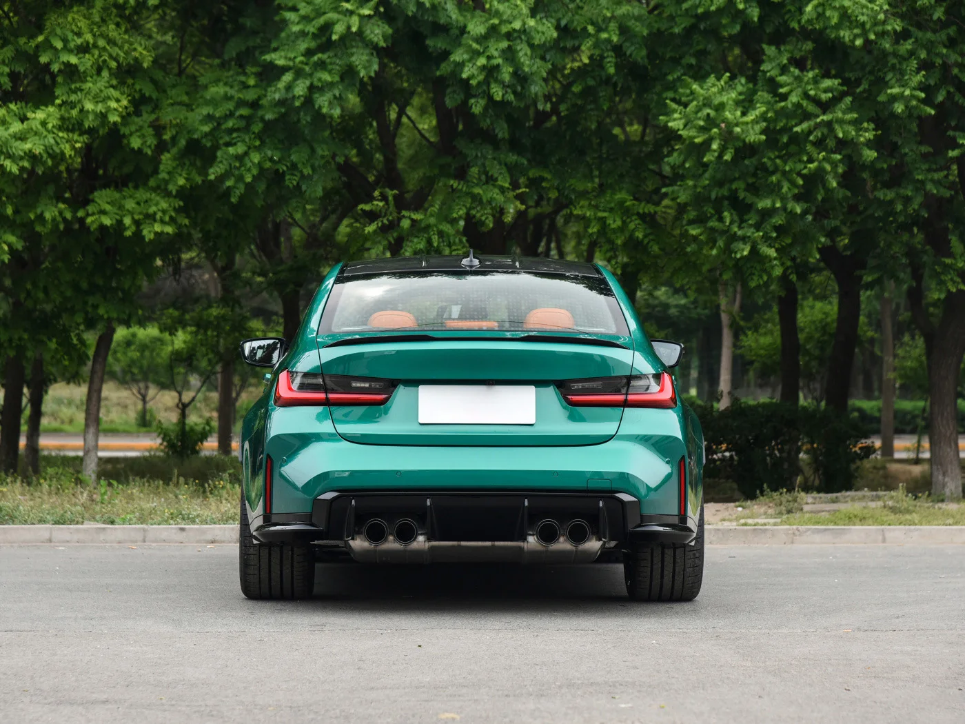 Рисунок 5 - Сплиттер Bupmer из углеродного