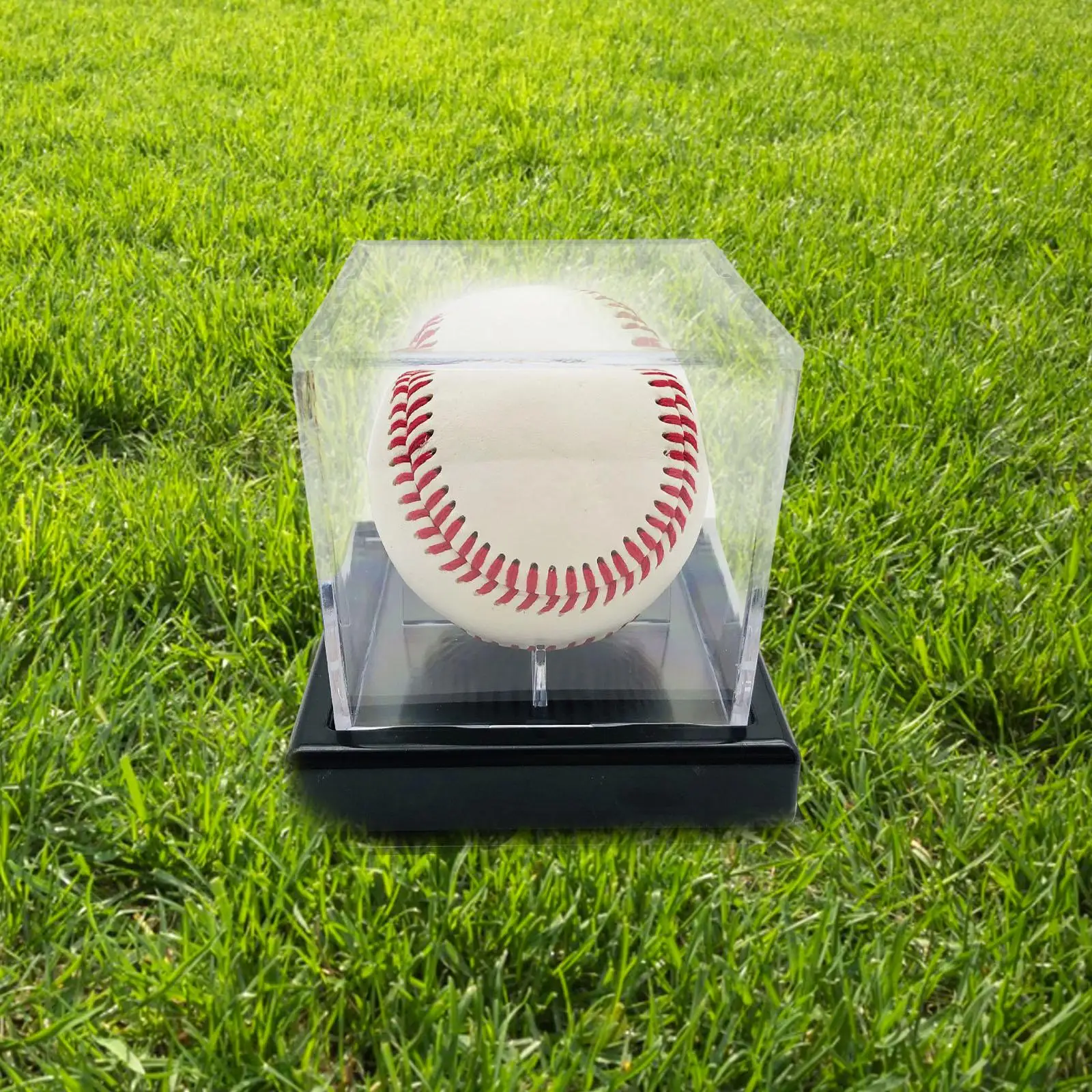 Clear Baseball Box for Sports Tennis Ball Protection baseball storage box