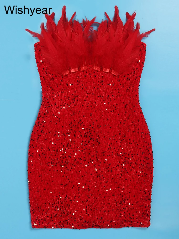 Wishyear Glitter Bodycon Backless Short Birthday Party Club Outfits for  Women Sparkly Red Sequin Mini Dress with Feathers Luxury - AliExpress  200000345